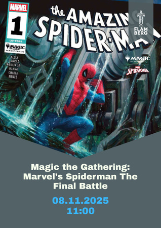 2025.11.08 Spider-Man: The Final Battle Event
