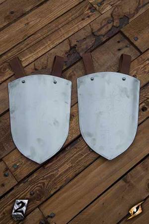 2ndQ. Basic Belt Shields - Polished Steel