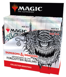 Adventures in the Forgotten Realms Collector Booster Box (12 boosterów)