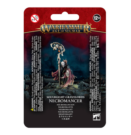 Age of Sigmar: Soulblight Gravelords Necromancer