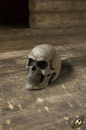 Small Skull - Bone