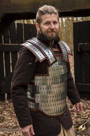 Viking Armour - Polished Steel - M/L